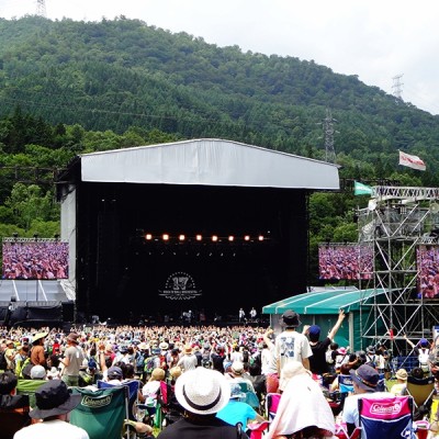 フェス／ライブ 